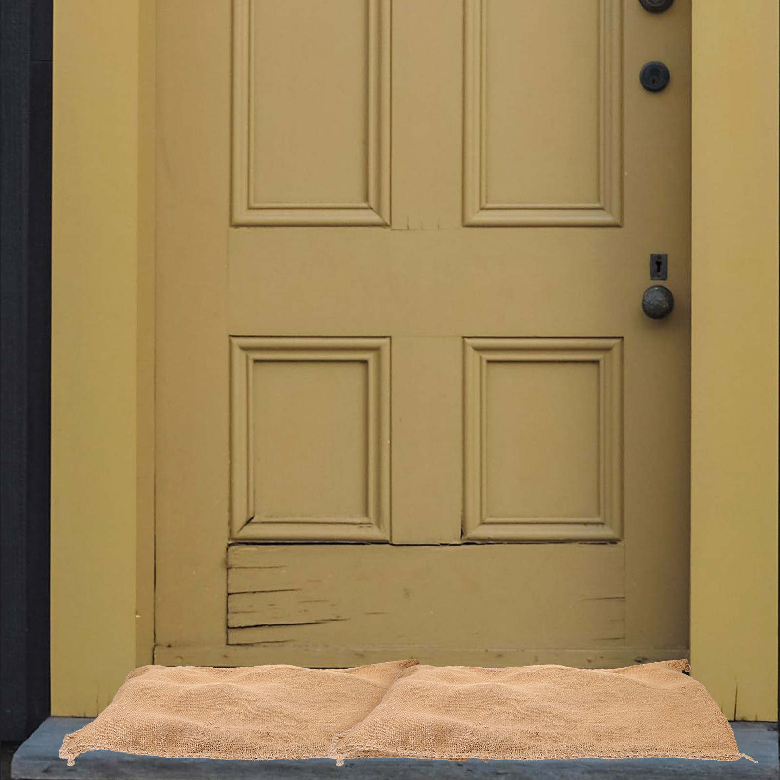 Sacchi di Sabbia Assorbenti pe - Flood Barrier Bag recensione e prezzo
